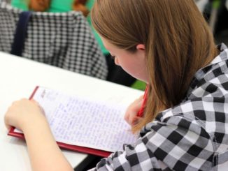 concursos abertos 2019