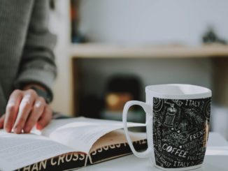 concursos abertos de nível fundamental em 2020