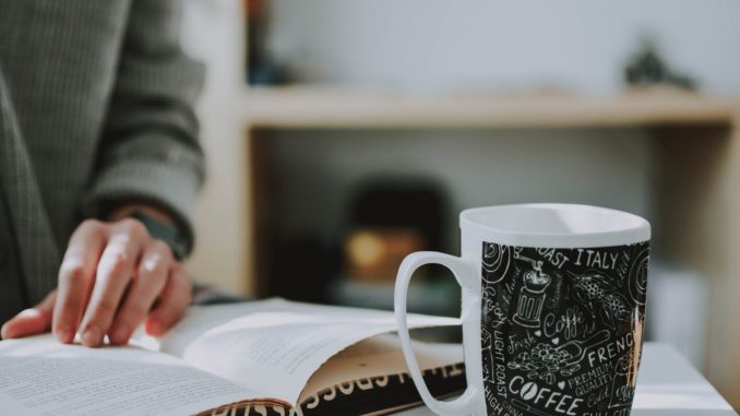 concursos abertos de nível fundamental em 2020