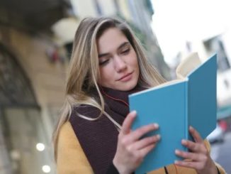 concursos públicos abertos para vários cargos